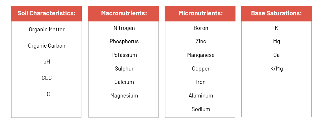 NutriScan Landing page - 3 - +EC