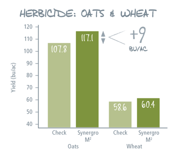 Oats and Wheats