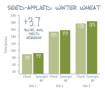 Winter Wheat