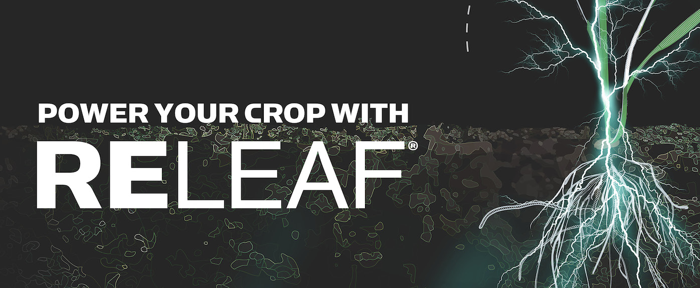 Power Crop Small Power Crop Small