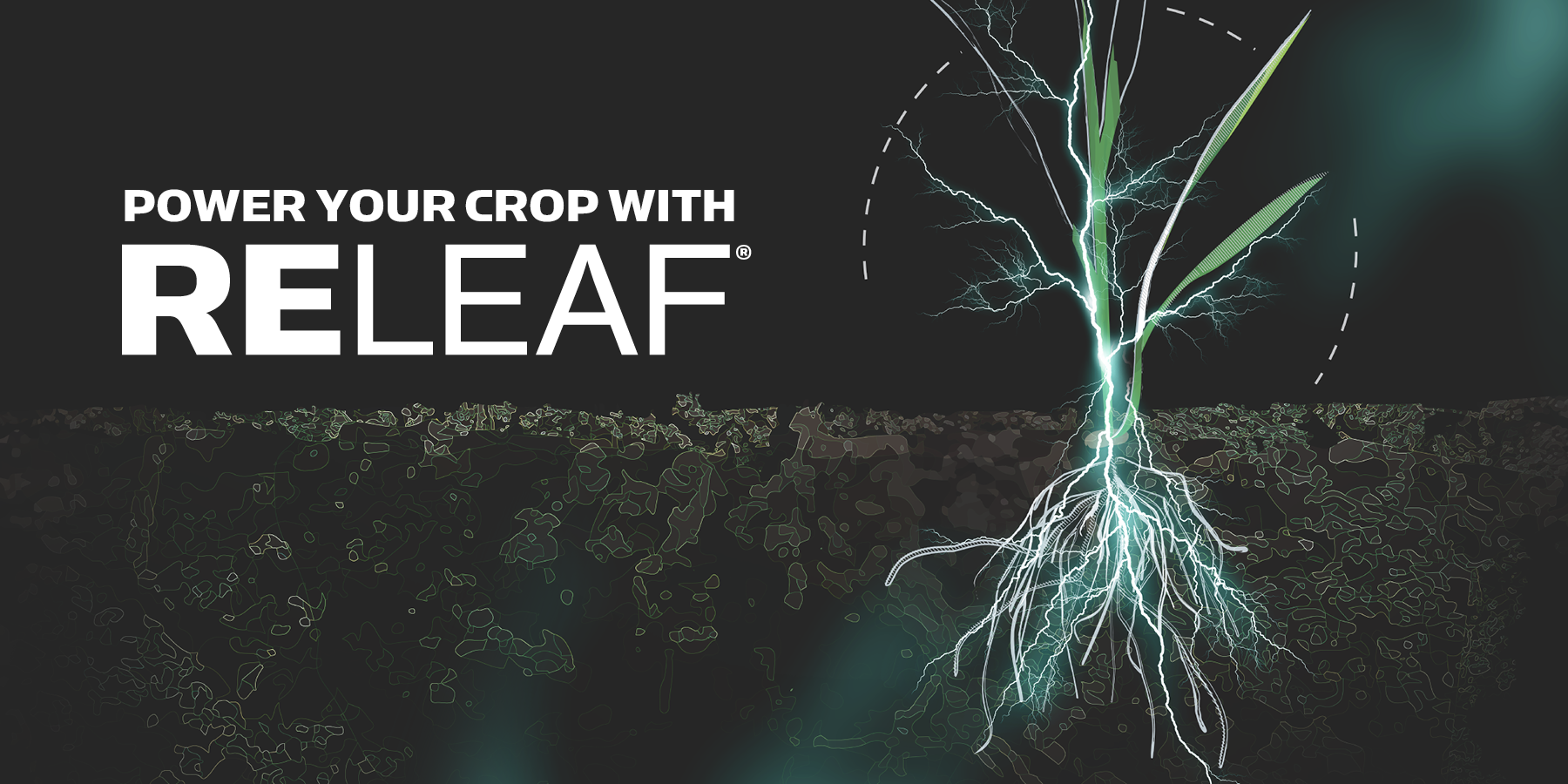 ReLeaf Banner ReLeaf Banner
